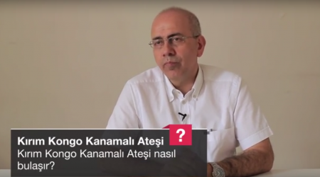 Kırım Kongo Kanamalı Ateşi nasıl bulaşır?